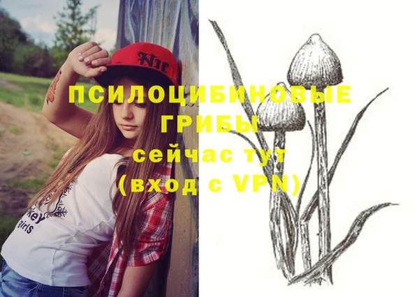 прущий лед Арсеньев